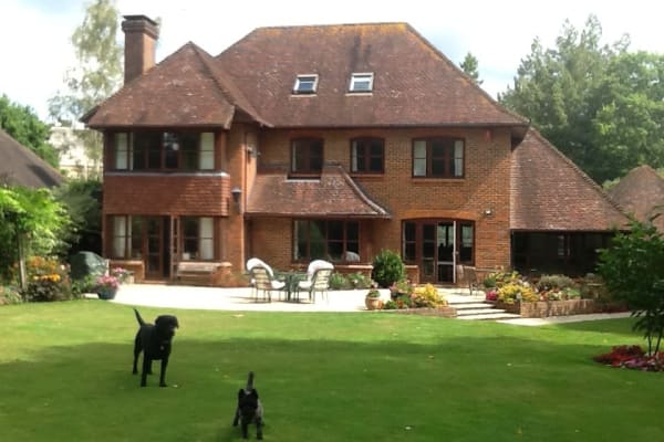 House sit in Brockenhurst, United Kingdom