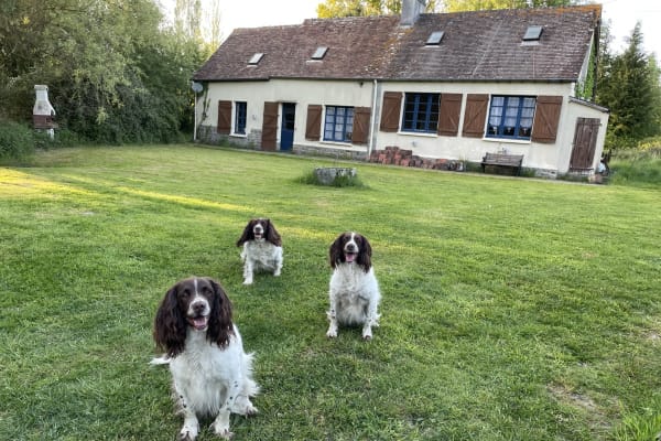 House sit in Domfront, France