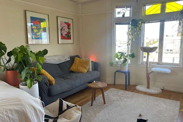 House sit in San Francisco, CA, US