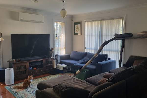 House sit in Melbourne, VIC, Australia
