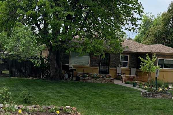 House sit in Wheat Ridge, CO, US