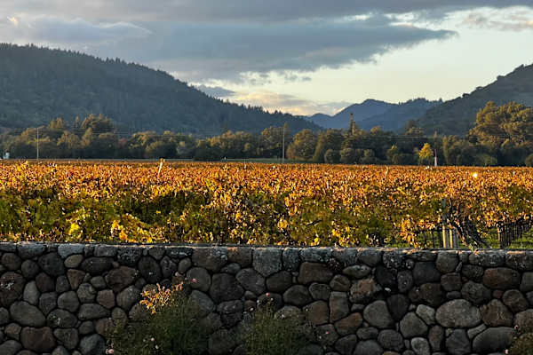 House sit in Napa, CA, US