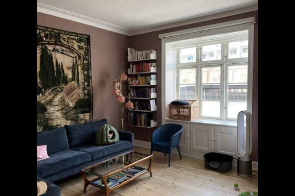 House sit in Copenhagen, Denmark