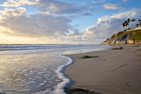 House sit in Carlsbad, CA, US