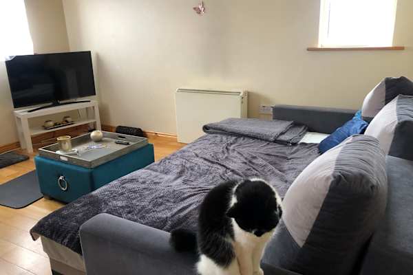 House sit in Gaillimh, Ireland