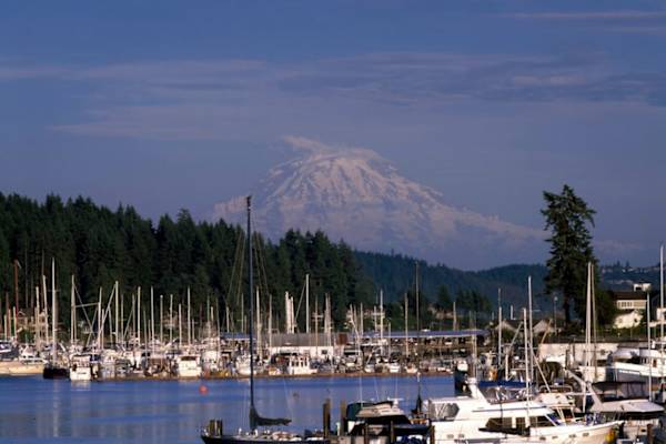 House sit in Gig Harbor, WA, US