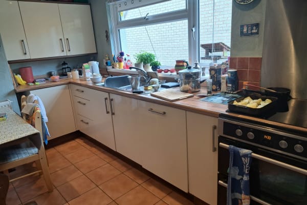 House sit in Barnstaple, United Kingdom