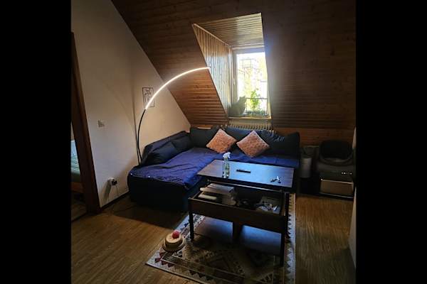 House sit in Karlsruhe, Germany