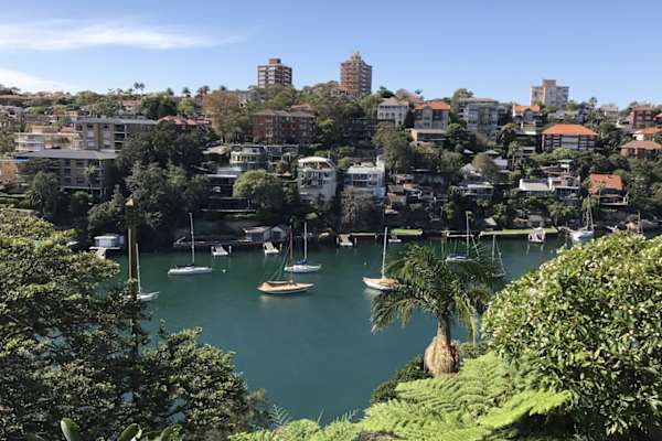 House sit in Sydney, NSW, Australia