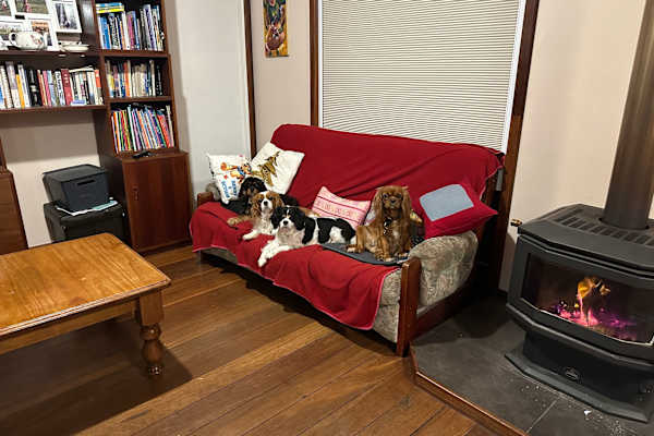 House sit in Walpole, WA, Australia