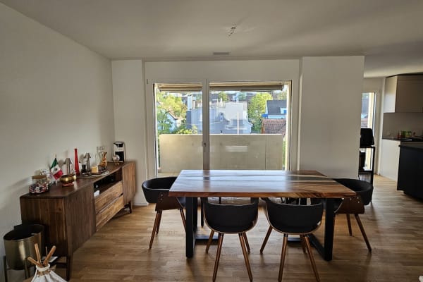 House sit in Zürich, Switzerland