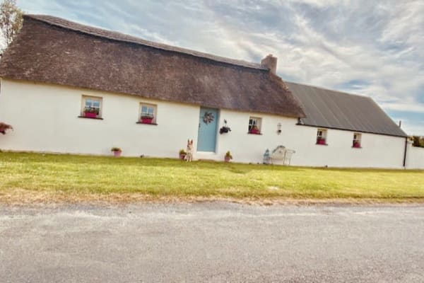 House sit in Sallins, Ireland