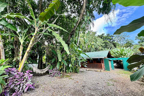 House sit in Dominical, Costa Rica