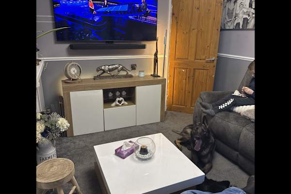 House sit in Shrewsbury, United Kingdom