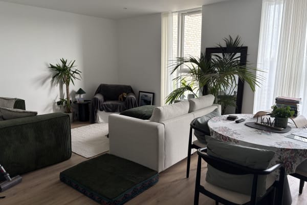 House sit in Dublin, Ireland