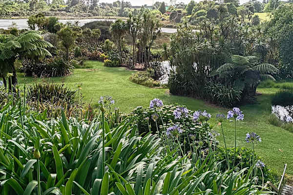 House sit in Te Puna, New Zealand