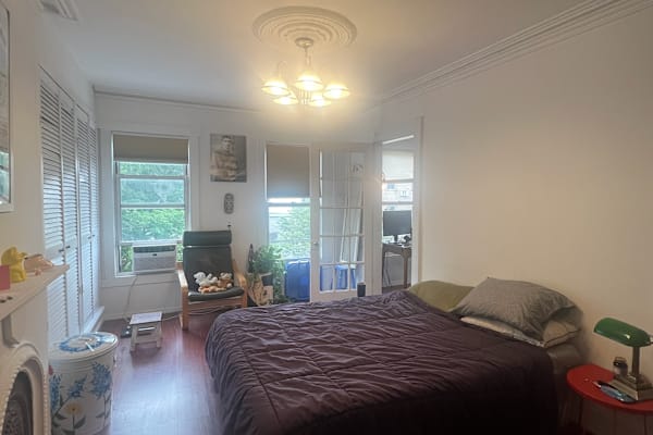 House sit in Manhattan, NY, US