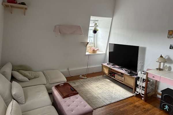 House sit in Boston, MA, US