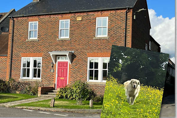 House sit in Finmere, United Kingdom