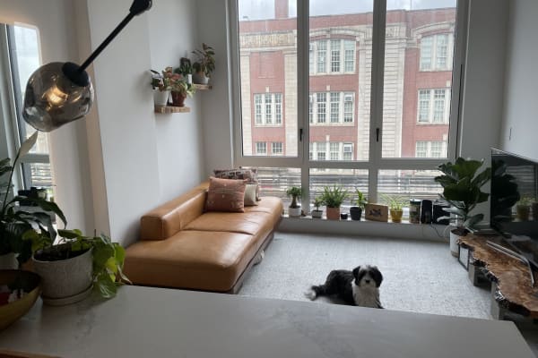 House sit in New York City, NY, US