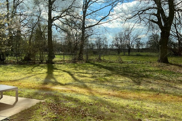 House sit in Kalmthout, Belgium