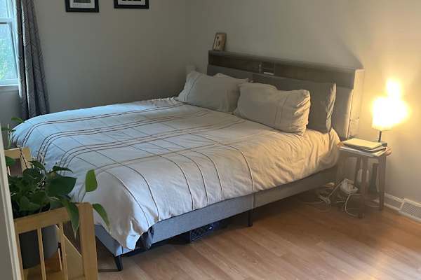 House sit in Asheville, NC, US