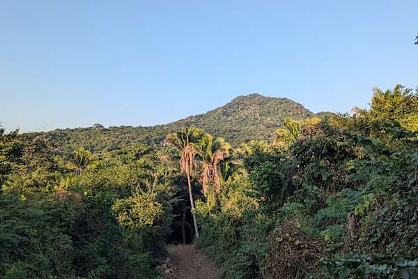 House sit in Higuera Blanca, Mexico