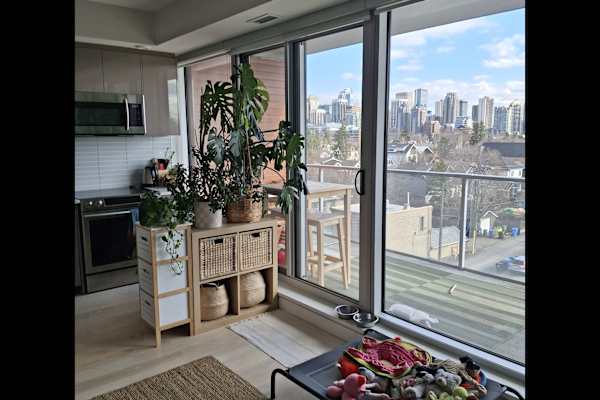 House sit in Calgary, AB, Canada