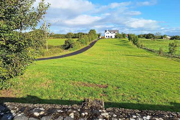 House sit in Gaillimh, Ireland