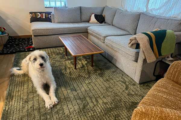 House sit in Pittsburgh, PA, US