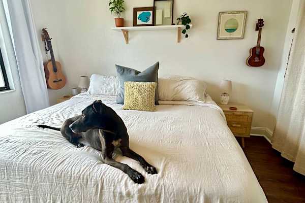 House sit in Saint Augustine Beach, FL, US