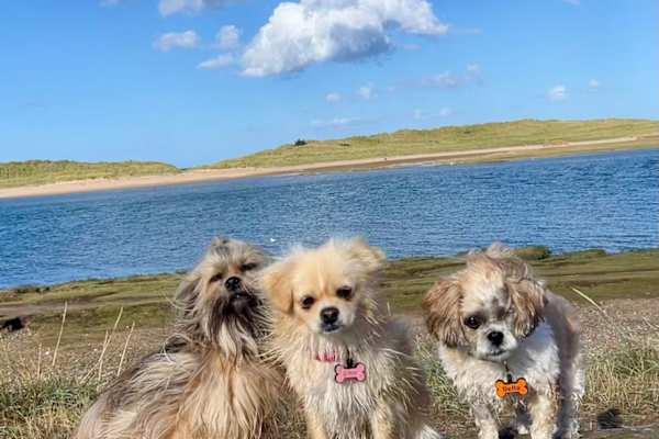 House sit in Lossiemouth, United Kingdom