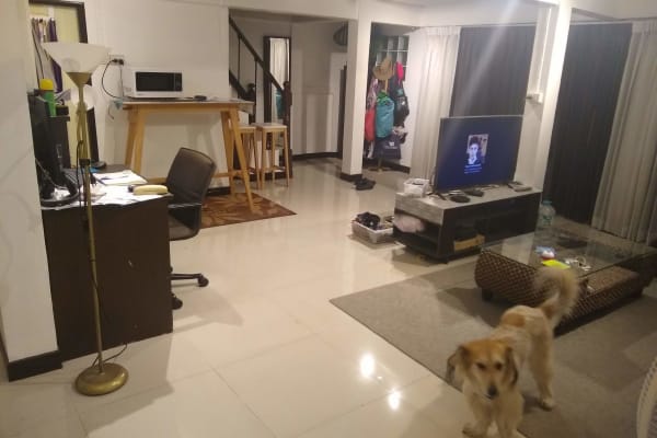 House sit in Bangkok, Thailand