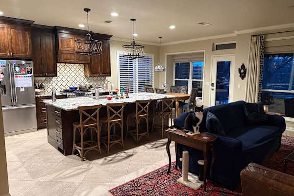 House sit in Frisco, TX, US