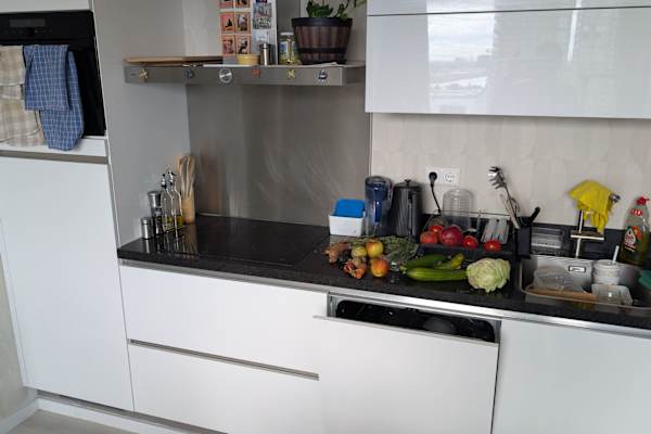 House sit in Amsterdam, Netherlands
