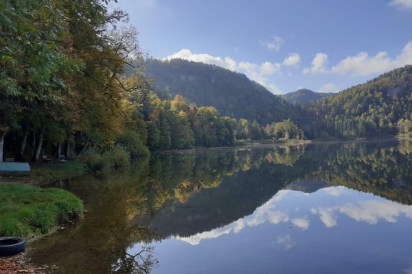 House sit in Bonlieu, France