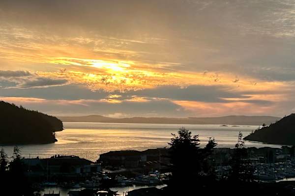 House sit in Anacortes, WA, US