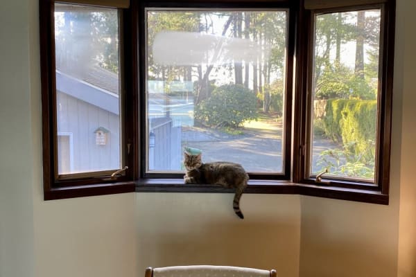 House sit in North Saanich, BC, Canada