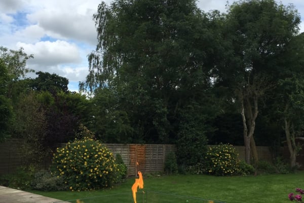 House sit in Chislehurst, United Kingdom