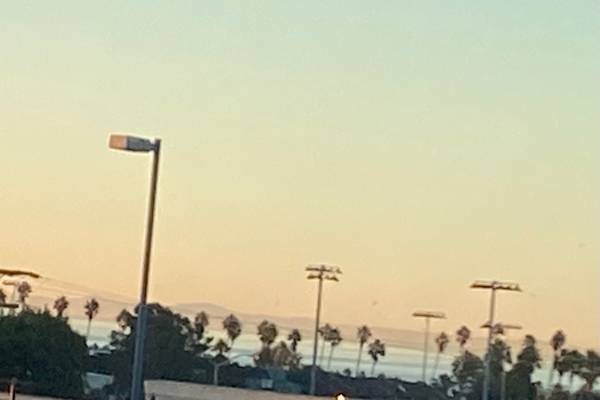 House sit in Santa Monica, CA, US