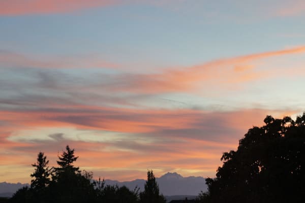 House sit in Seattle, WA, US