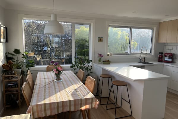 House sit in Dunedin, New Zealand