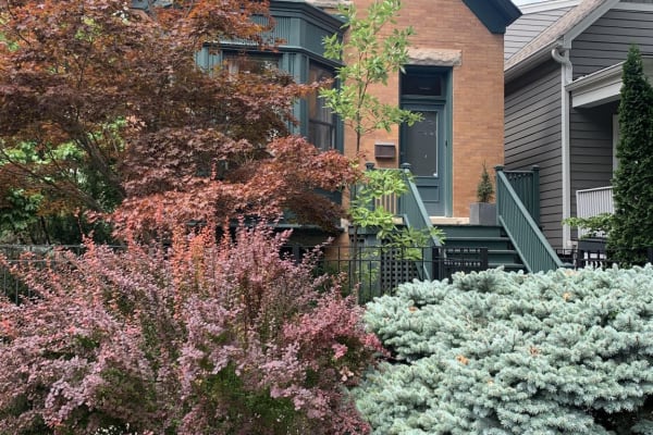 House sit in Chicago, IL, US