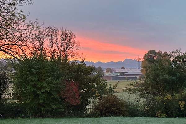 House sit in Obergünzburg, Germany