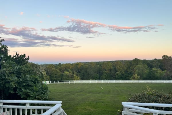 House sit in Charlottesville, VA, US