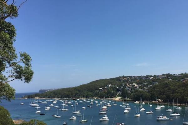 House sit in Sydney, NSW, Australia