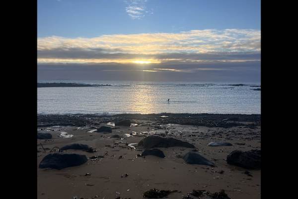 House sit in Anstruther, United Kingdom