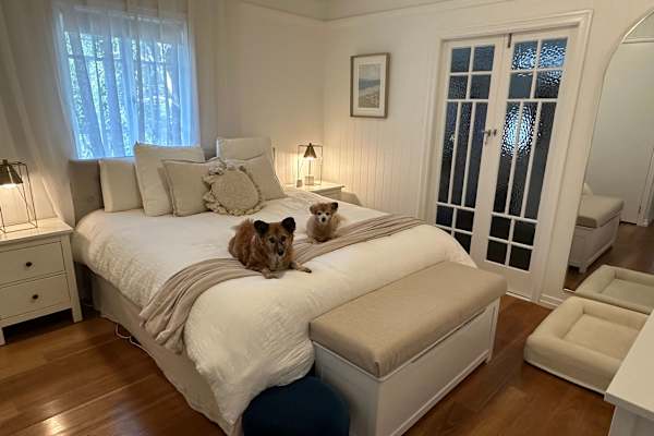 House sit in Brisbane, QLD, Australia