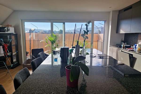 House sit in Dietikon, Switzerland