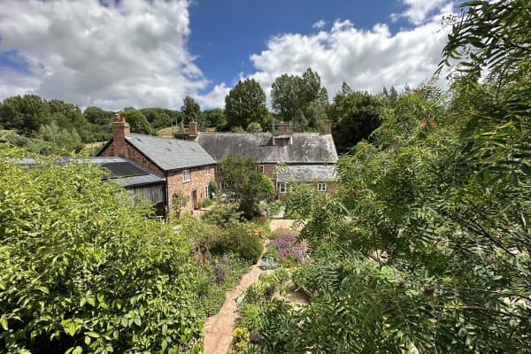 House sit in Bishops Lydeard, United Kingdom